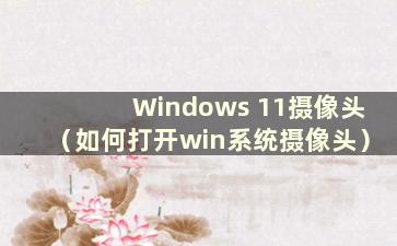 Windows 11摄像头（如何打开win系统摄像头）